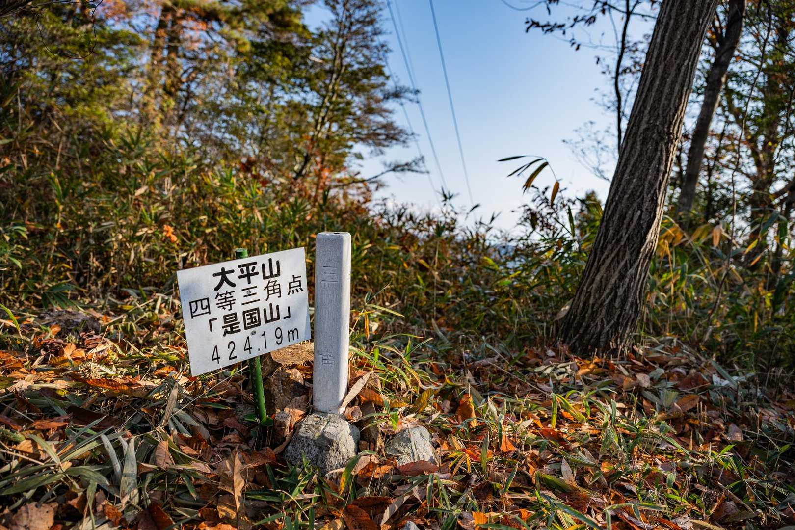 大平山山頂
SOFTBANK私有地の裏に三角点と看板があります。