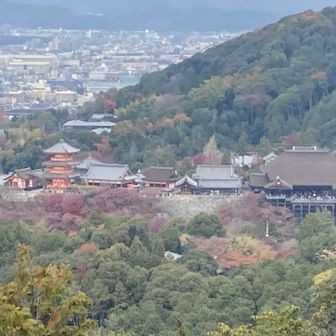 清水寺見えた！阿弥陀ヶ峰から