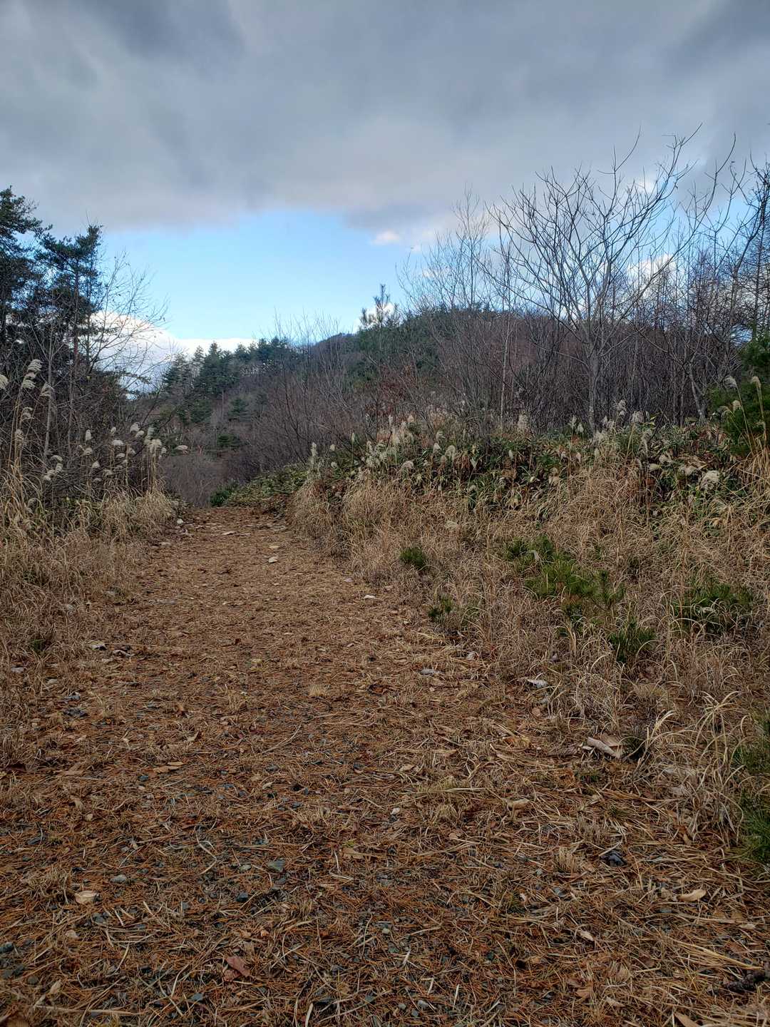 広い作業道？