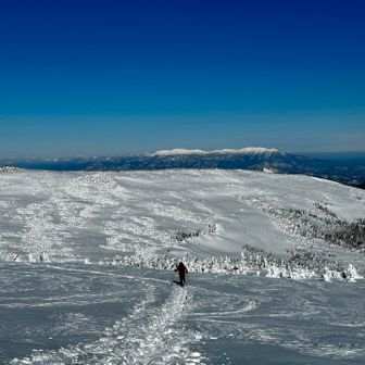 トレースがいっぱいあって迷いました💦
トレースが無いところは踏み抜き多数。