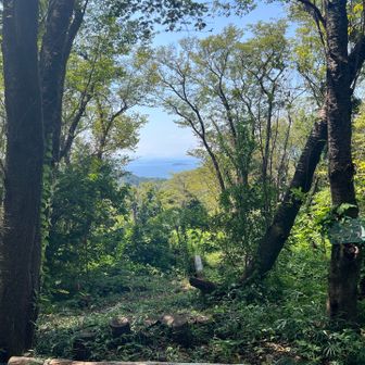 少し歩くと
さくらテラス到着〜🌸
ここでランチタイムの予定だったんだけど
眺めは良い(ㆆᴗㆆ)♡
今日は風向きが良くなくて風が通らなかったから蒸し暑い💦
アイスマニアちゃん、ありがとう(˶ᐢᗜᐢ˶)