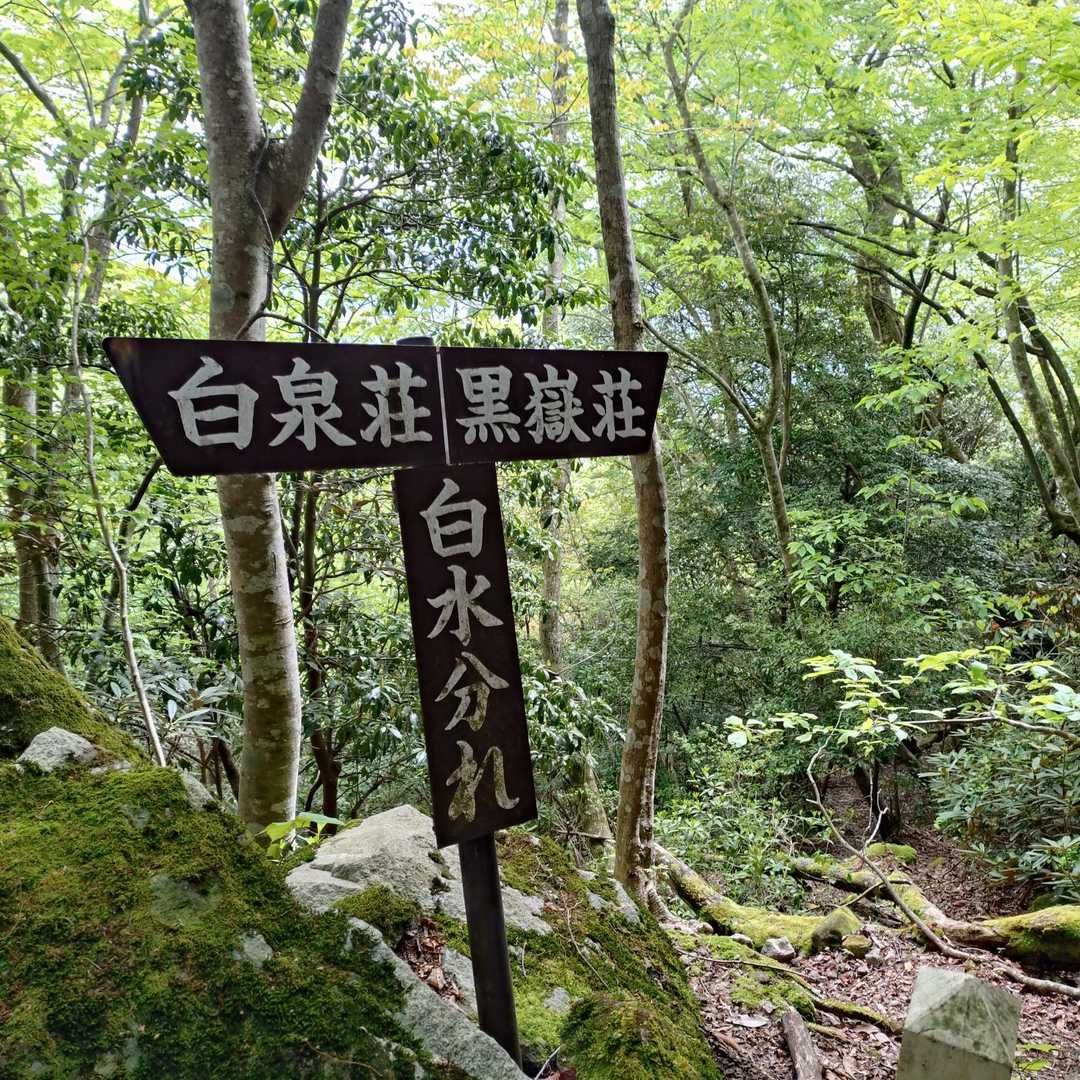 分岐
