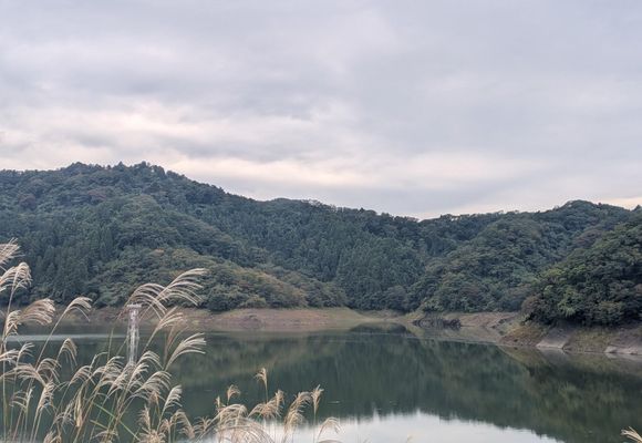 草と山 草戸山（東京・神奈川・364m）| 登山ルート・天気 | YAMAP / ヤマップ