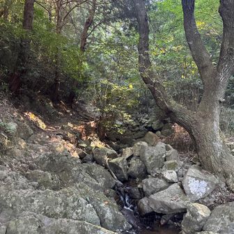 序盤は沢沿いに