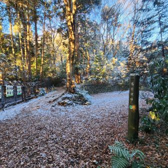 馬引沢峠。ぼんやり雪