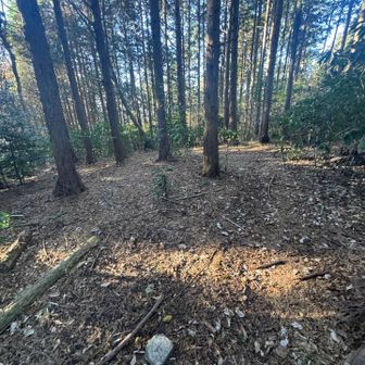 館岸山山頂⛰️