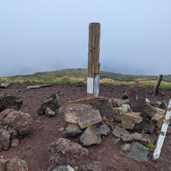 アキタ＝ミカン