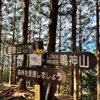 女吾妻山まで戻ってきた😅