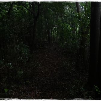 写真はいくらでも明るさが補正できるので明るくしていますが、実際はこんな暗い場所もあって薄気味悪いです。