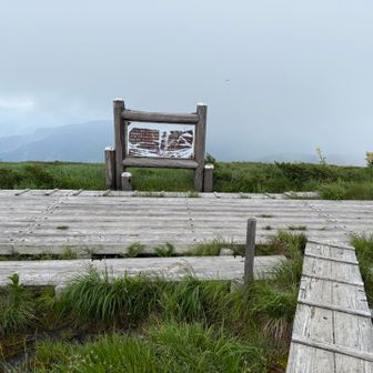 平ヶ岳山頂