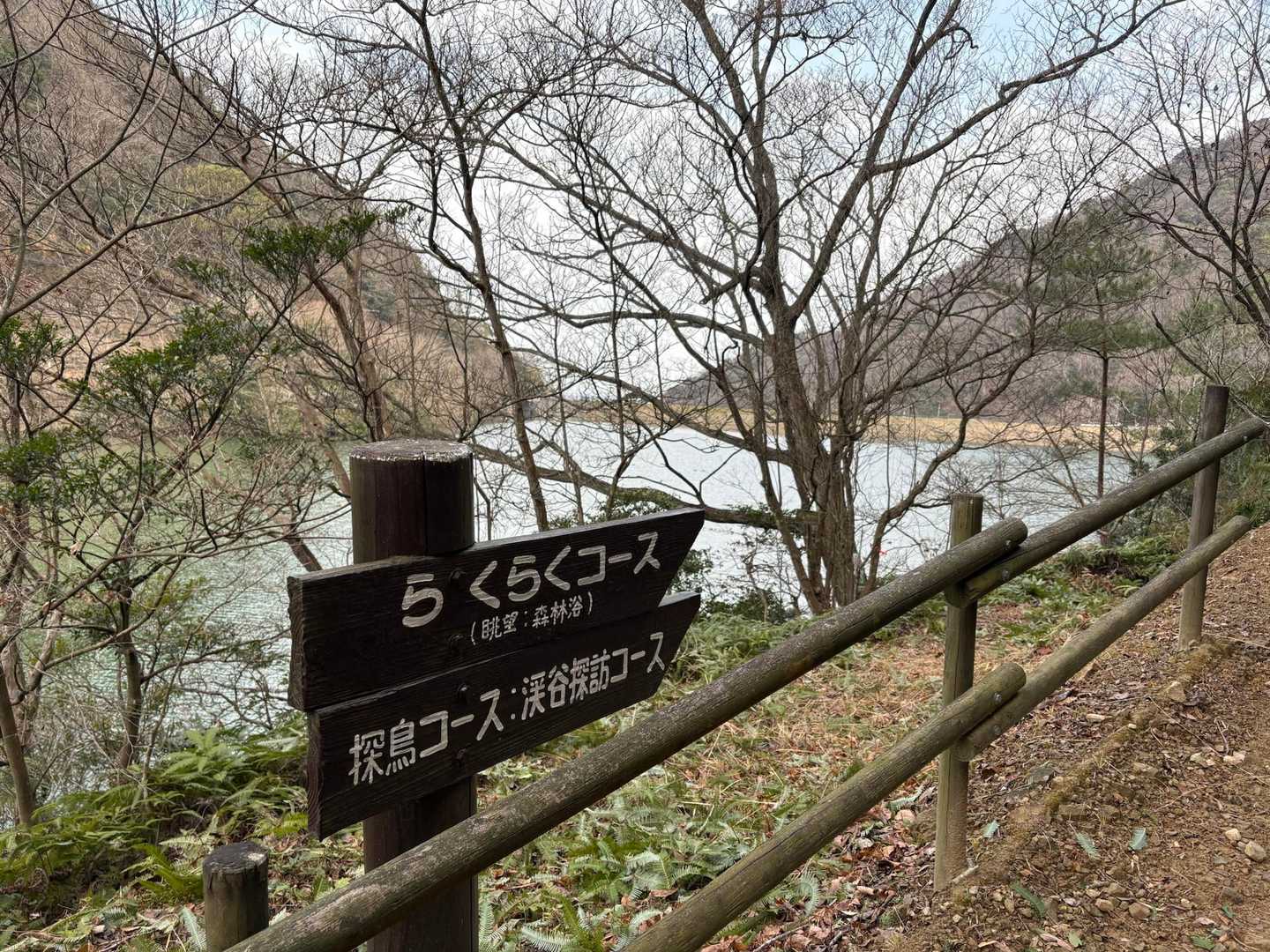 たんれんコースは自分には100万年早いと感じているのでらくらくコースやらせていただきます！