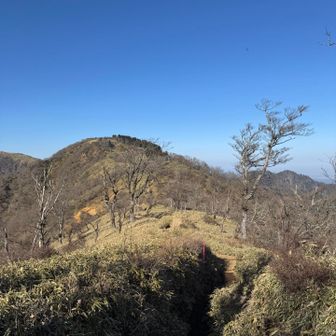 塔ノ岳をすぎるとグッと人が減る