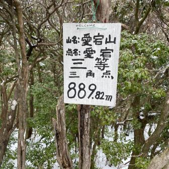 少し登って三角点へ