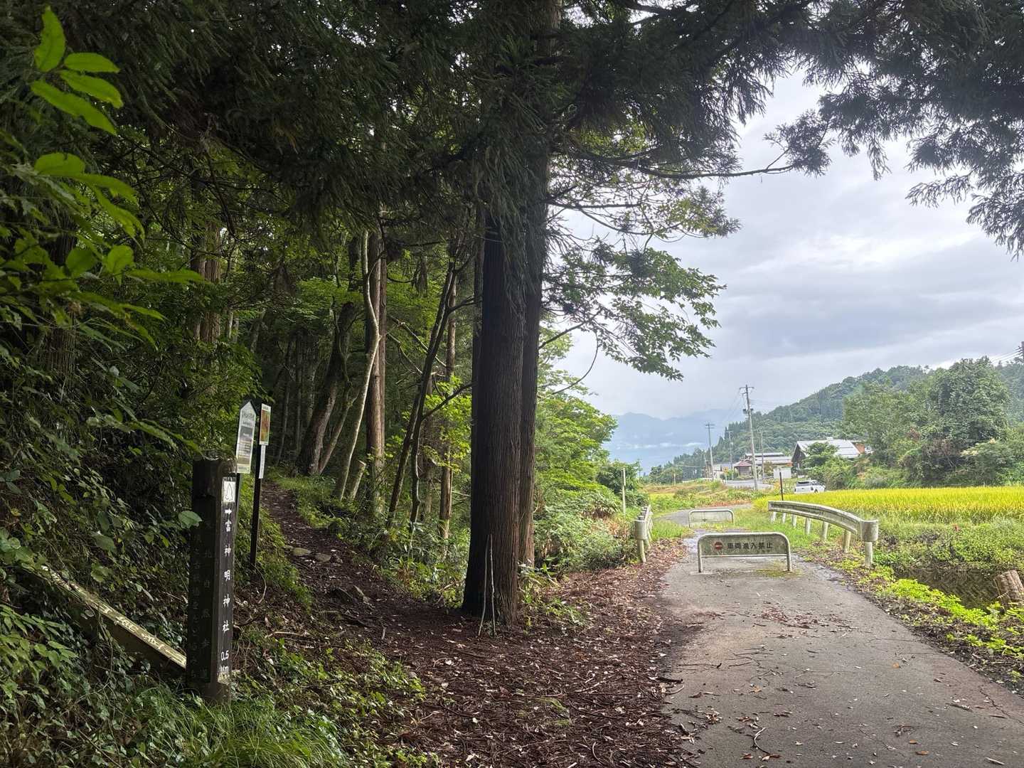 安心😮‍💨したら最後の所で滑ってブッこけました、雨で濡れた🪨は十分注意⚠️と改めて思わされました、今後も安全に健康の為、山歩きを楽しんで行きたいと思う今日この頃でした。
