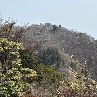 👀ポッコリつき出て仙の石かな⁇