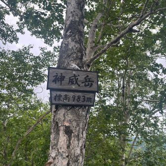 登頂🙌