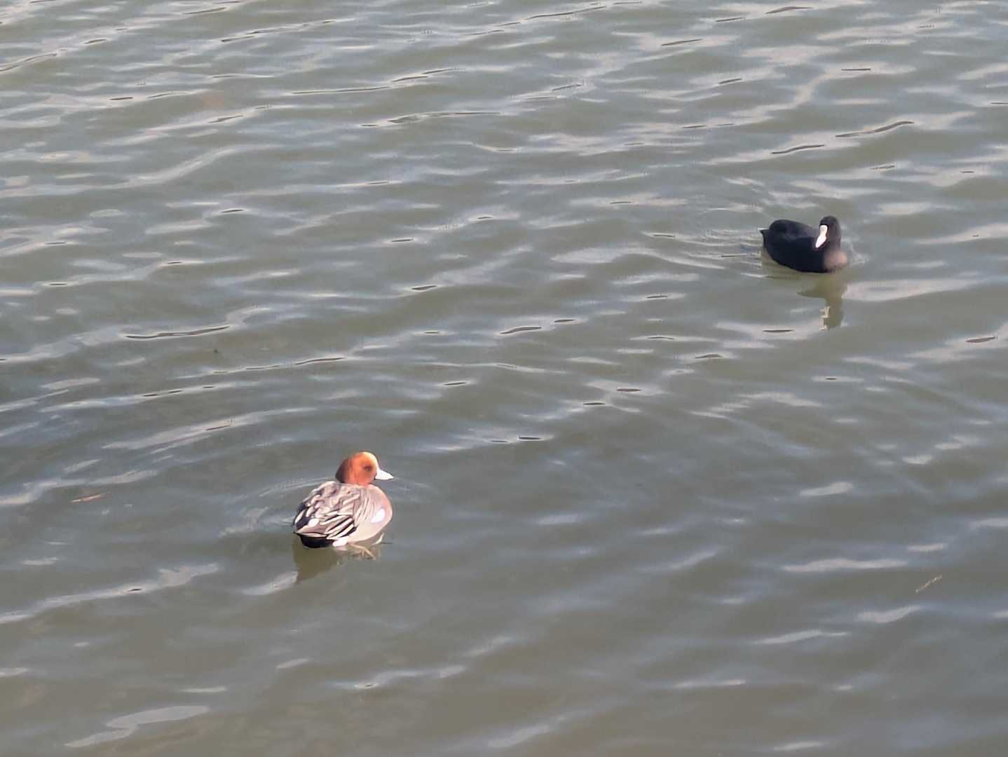 ここからは今日の小野アルプス

スタートは鴨池から🦆