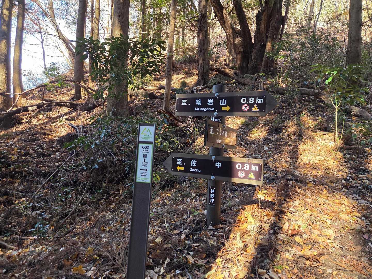 最後まで源流を遡れば良かったんだけど、一尾根越えて釜沢越に出た😅
縦走路に合流できてほっ！