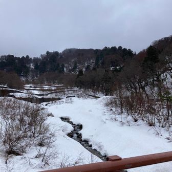 大山さん隠れてます