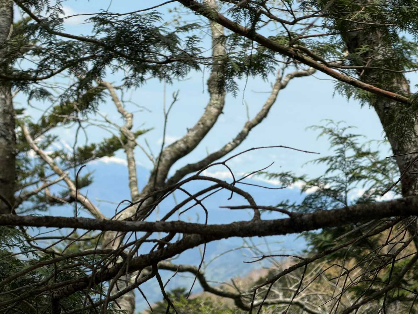 チラ見せの山々