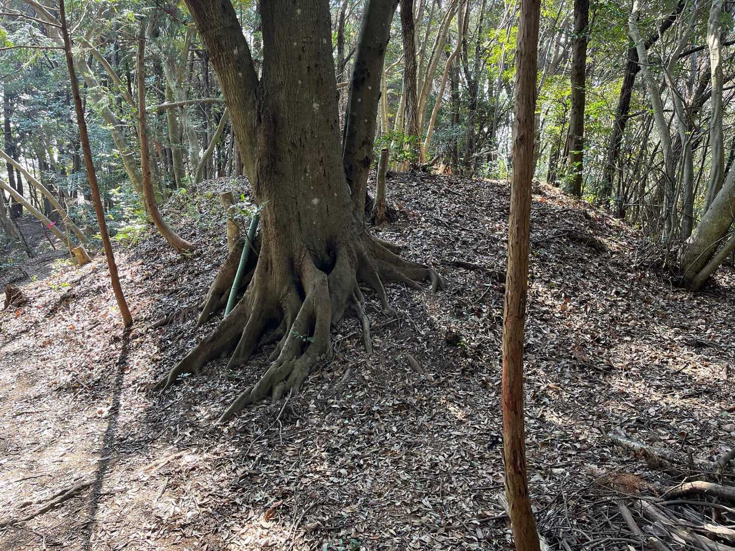 古墳のような。