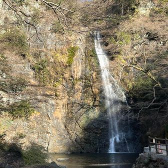 いつ見ても癒やされますねー✨