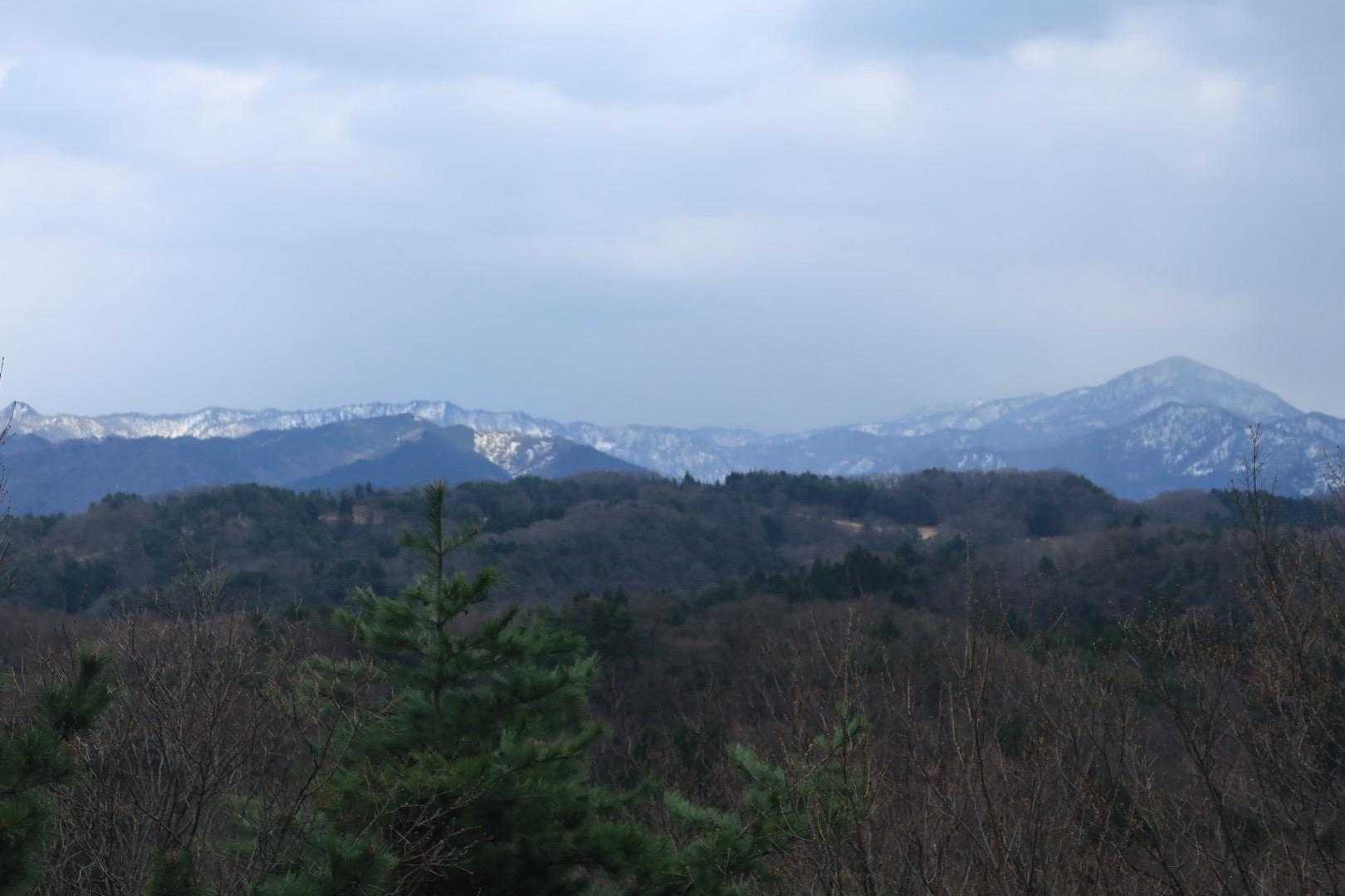 曇っててよく分からん😓