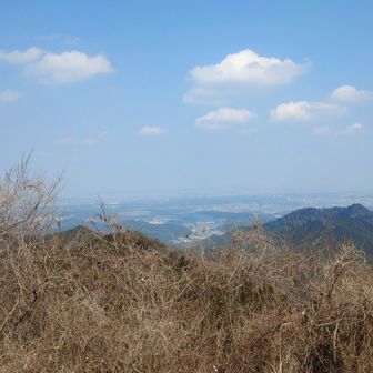 景信山山頂からの眺望。都心方面の眺望も今日は霞んでしまっていた。