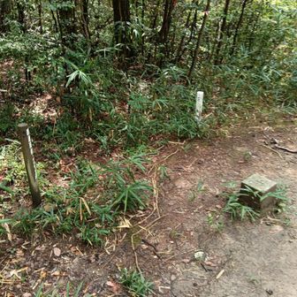 屋島南嶺 頂上です