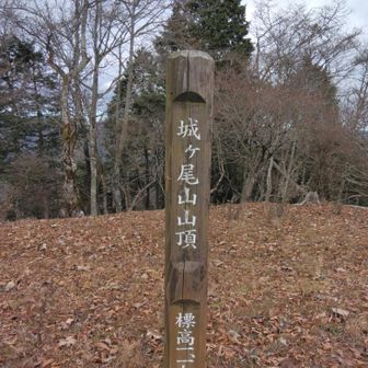 城ヶ尾山🙋ヨシ