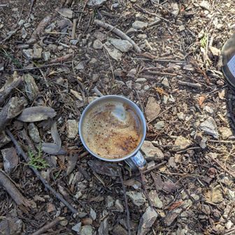 珈琲をいただきます。