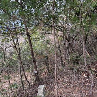 前山山頂
踏み跡不明瞭なので適当に歩いてます