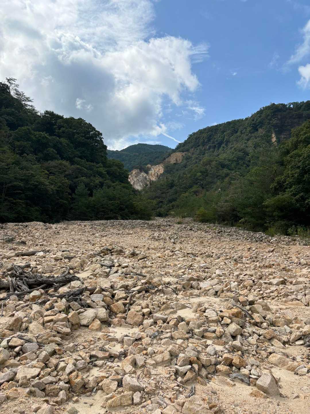 青空良い感じです
