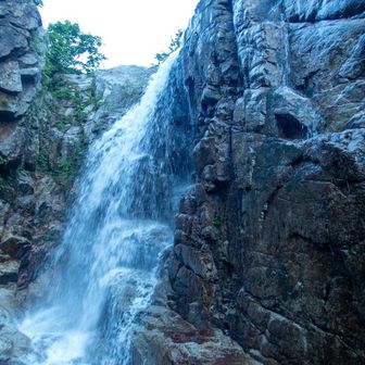 野川五貫沢ガッコ沢 / 葛見さわさんの大朝日岳・朝日連峰・祝瓶山の