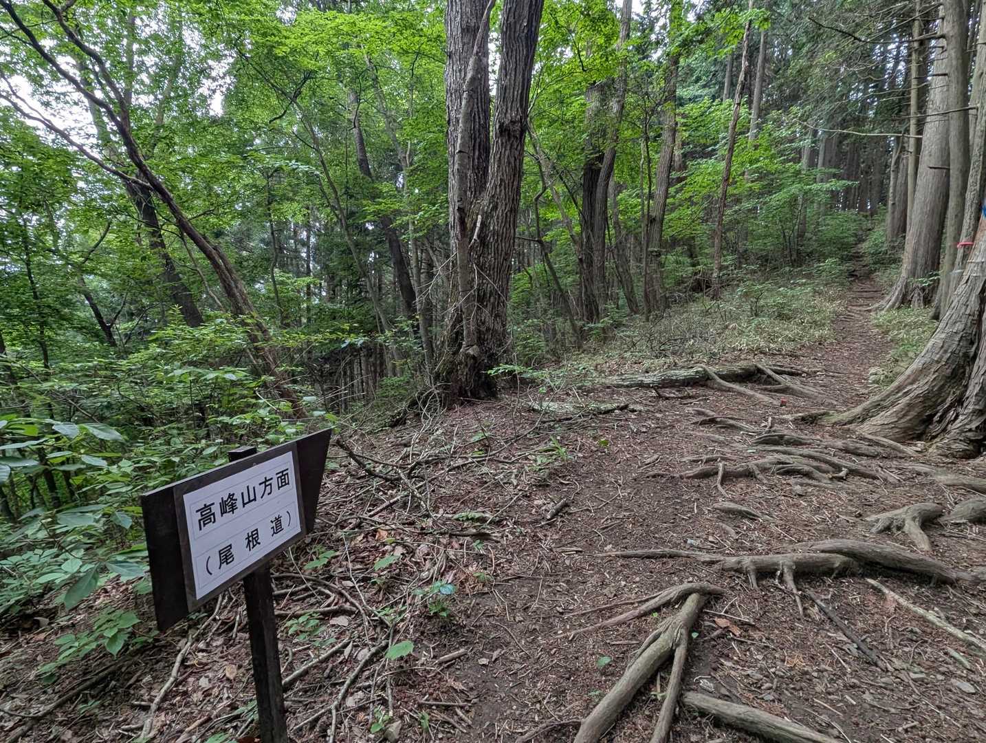 ここで御嶽駅と日向和田駅の分岐になるようだ