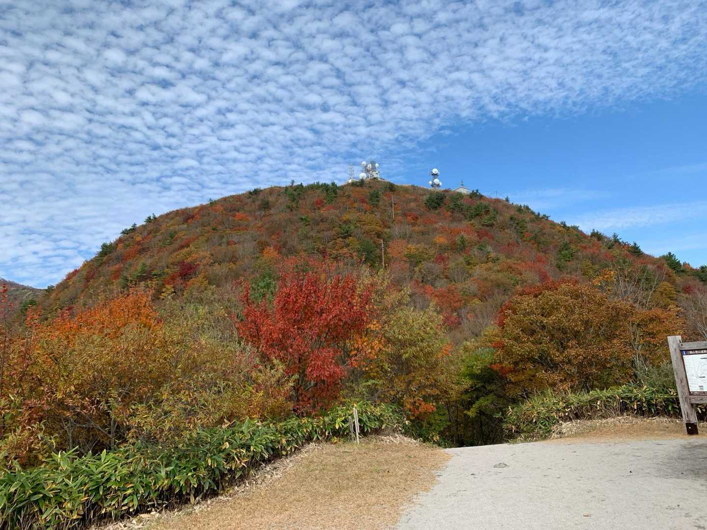 東の原登山口-三瓶観光リフト 山頂-大平山 往復コースの写真