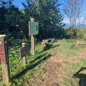 桜峠。桜そんなに綺麗なんですかね？
後ろの東屋でおっちゃんが寝てて気持ちよさそうだった笑