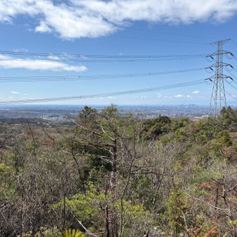 岩巣山奥にちょっと見晴らしのいい所あり