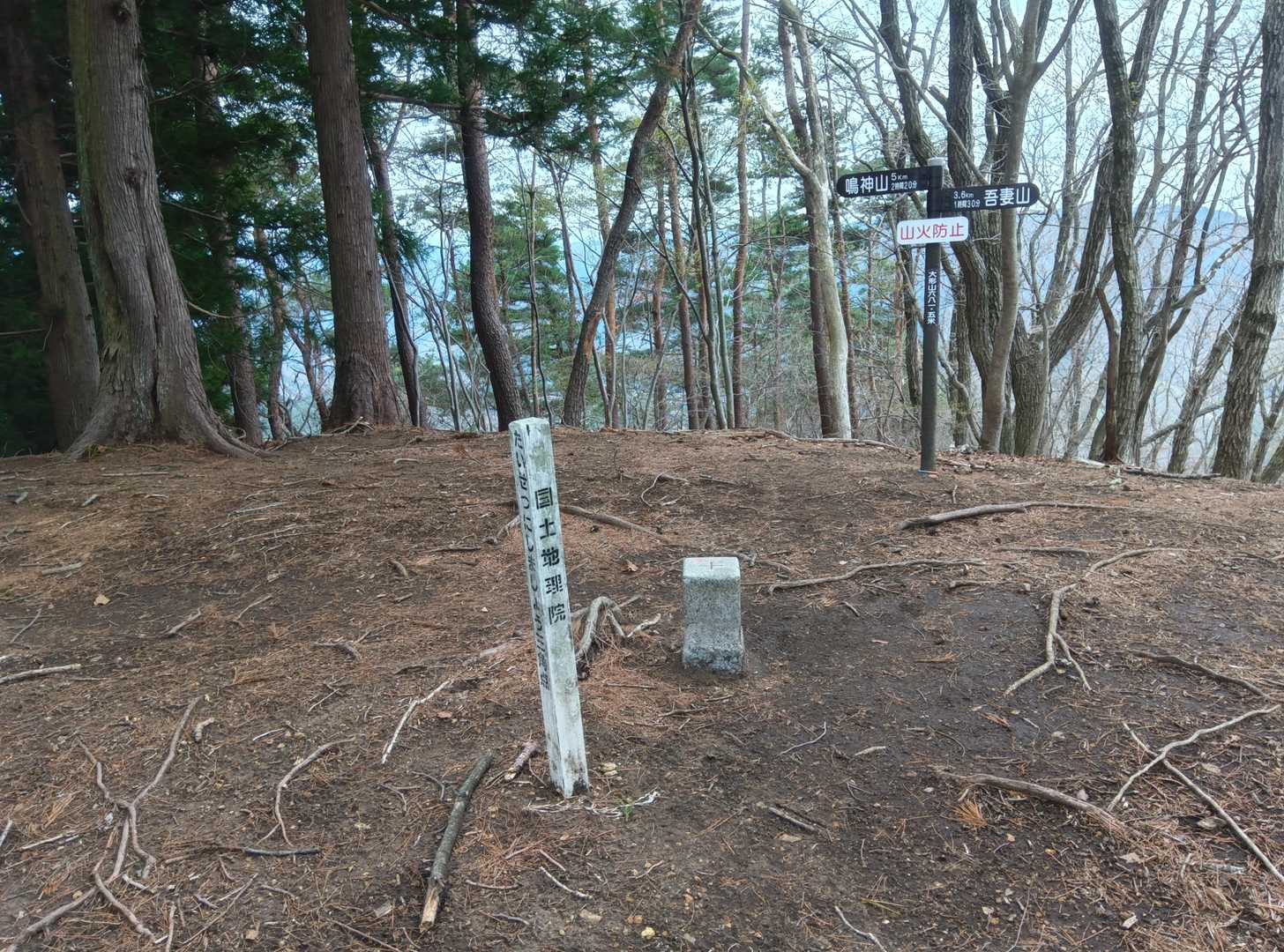 萱野山頂上