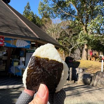 お腹すいた～
途中は木陰で寒いからここまで我慢
日向はぽかぽか