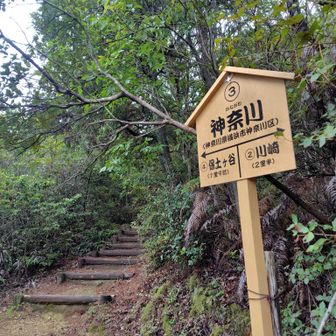 しばらくは分岐がないので推奨ルート通り順番に進む