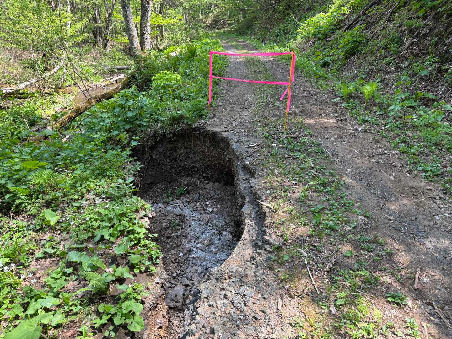 登山道崩落により、
車は中央道登山口まで🚗
奥新道登山口、
西尾根登山口へは歩いて行けます😆