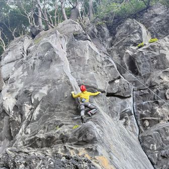 サムクラック5.9をTRで