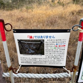 油膜ぽいものは確認できませんでしたが、鉄バクテリアか、勉強になります