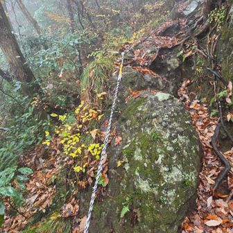 ロープ張られた急登が多い

小鷲頭山手前の岩場が今日の最難関💪