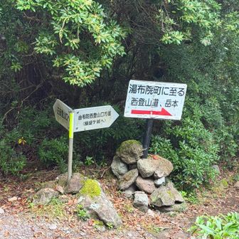 期待できませんが飯森ヶ城に行ってみようかな。