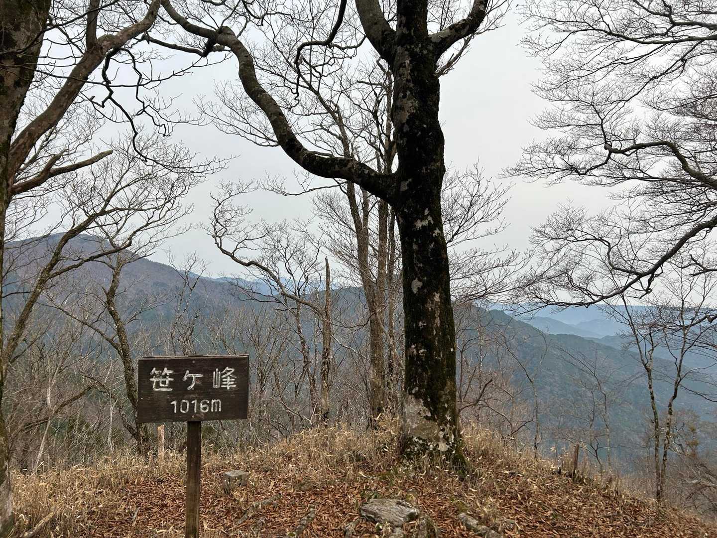 笹ヶ峰-三傍示山 往復コースの写真