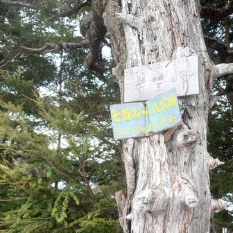 希望峰到着。南アルプスの展望が良いらしいですが…