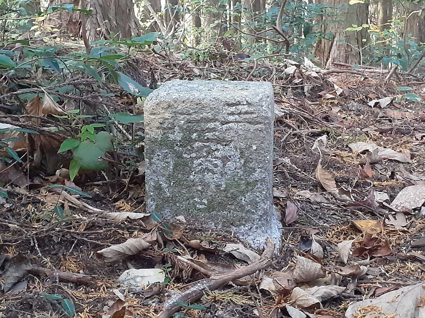 そこが頂だった→すぐに下山