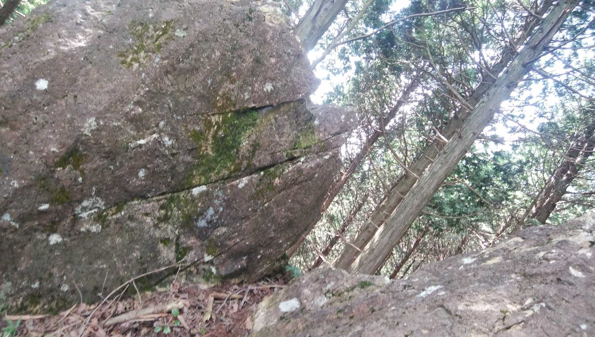 悩みごとありますか？相談乗りましょうか？という表情